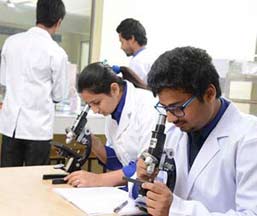 Department of Medical Laboratory Techniques